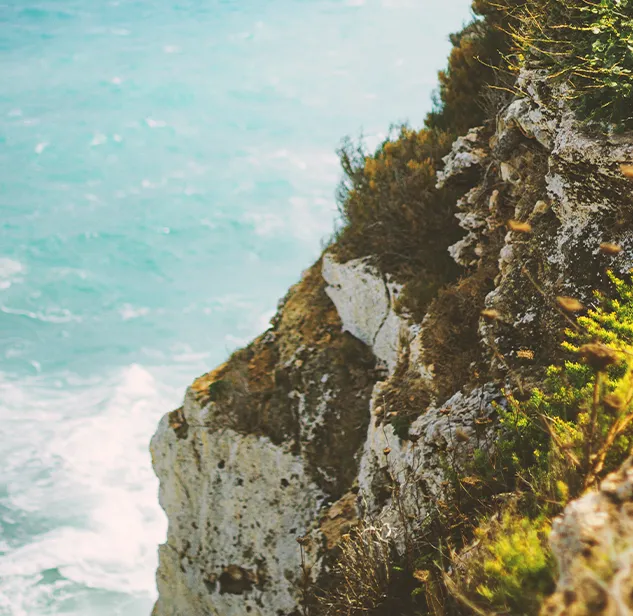 wooded cliff overlooking the turquoise waters of corsica