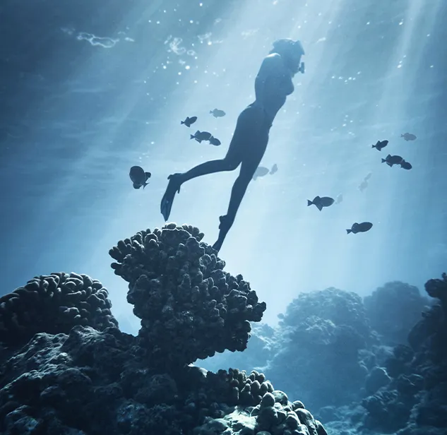 donna in apnea sale verso la superficie circonadata da pesci e rocce del mare in corsica