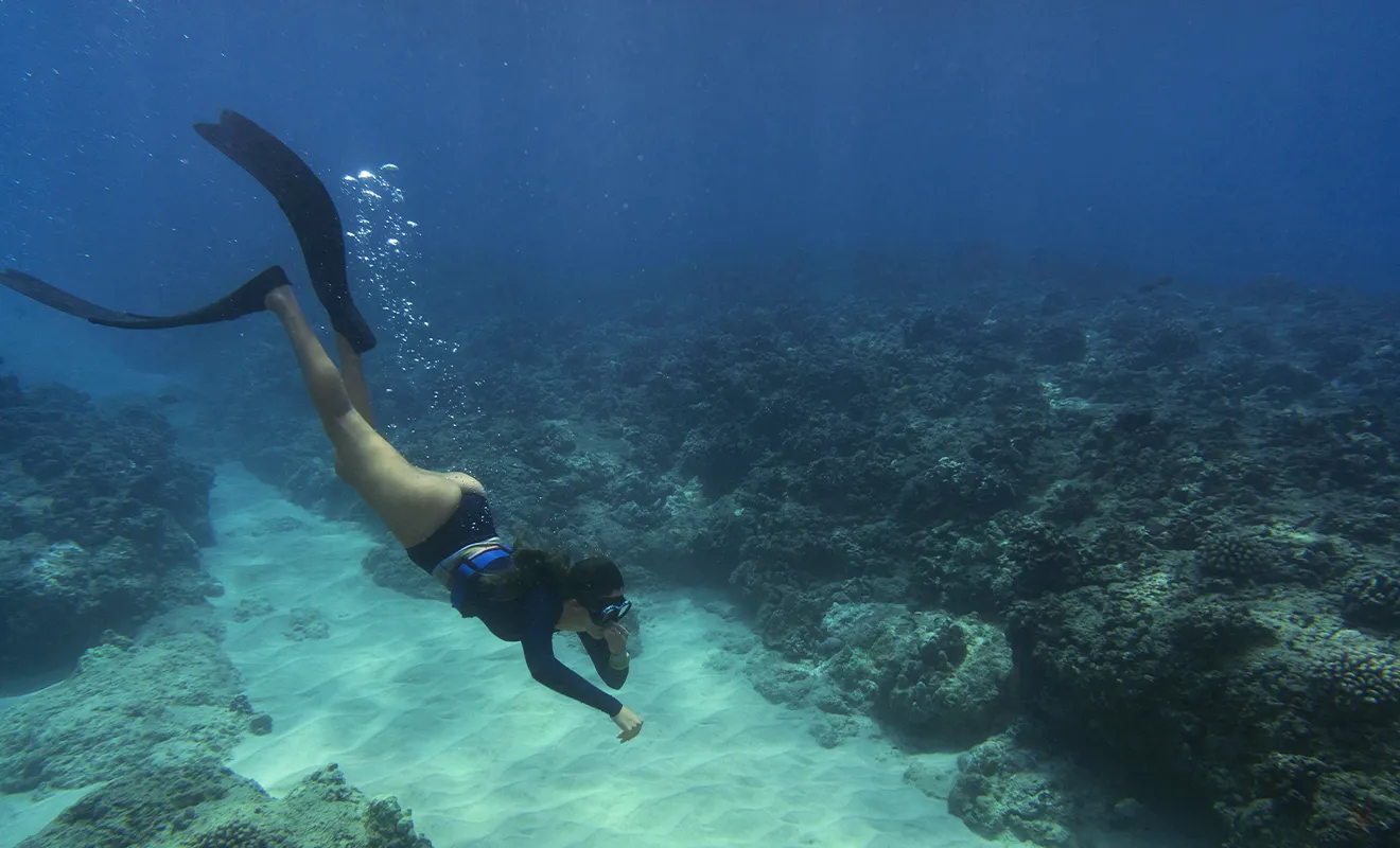 I migliori spot per fare snorkeling e immersioni tra Sardegna e Corsica
